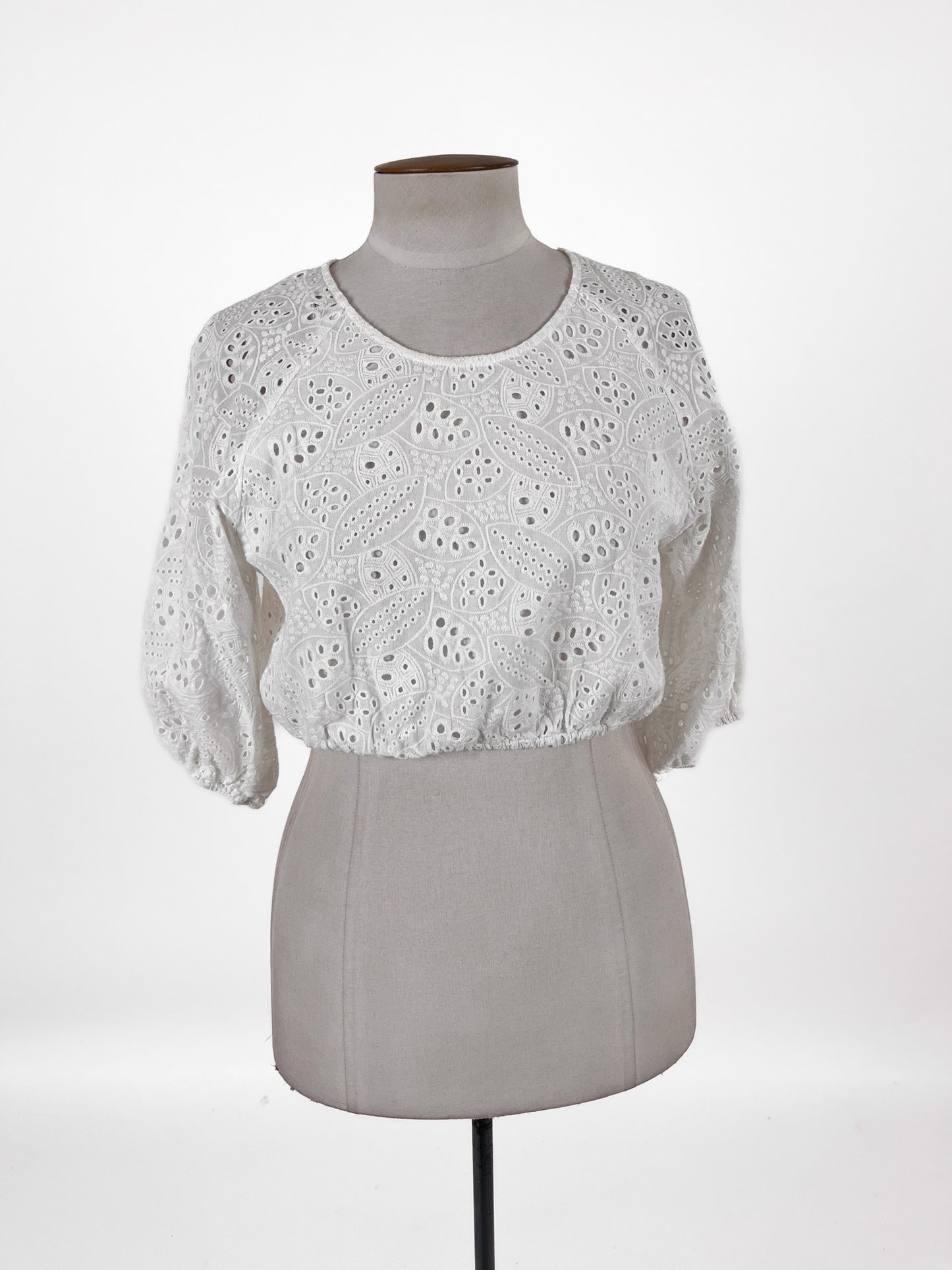 Ivy + Jack | White Casual Top | Size 10